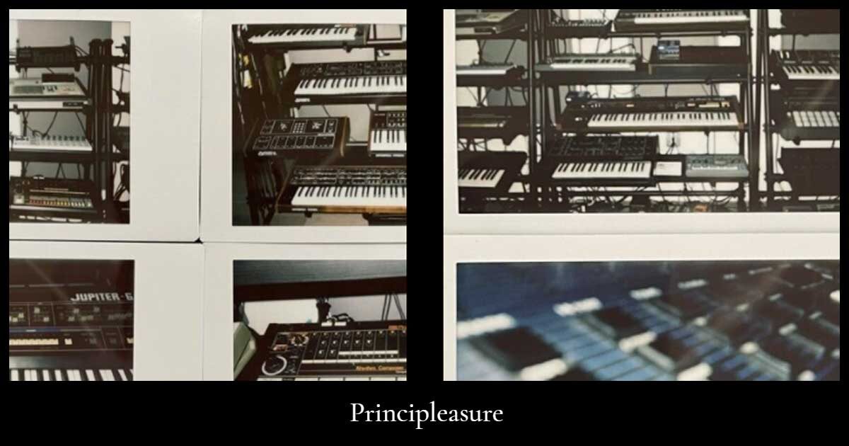 Download Principleasure Synth Samples Now