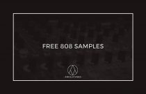 JungleJungle | 1989 - 1999 DnB/Jungle/Rave Sample Pack | Free Samples